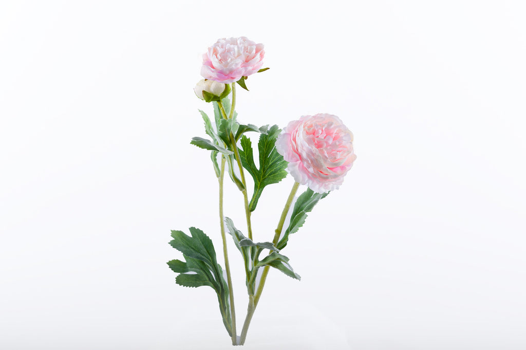 Vintage Peony Spray Soft Pink - Fervor + Hue